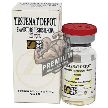Testenat 250MG/4ML Landerlan 1 Testenat 250MG/4ML Landerlan